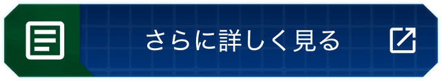 さらに詳しく見る